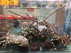 -寻味顺德·南记酒家·传统顺德菜·鱼生(广源路店)
