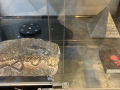 -谜盒子奇幻密室(南屏店)