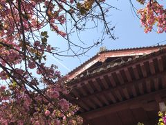 -西安青龙寺遗址景区