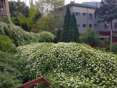 -四川大学(华西校区)