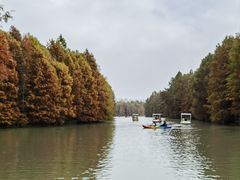 -上海海湾国家森林公园