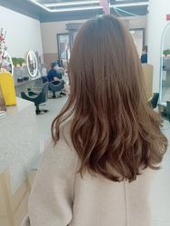 -世田造型