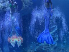 -多彩贵州城极地海洋世界