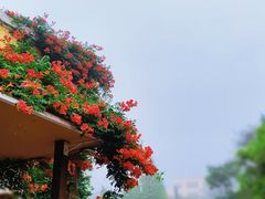 -青岛德国总督楼旧址博物馆