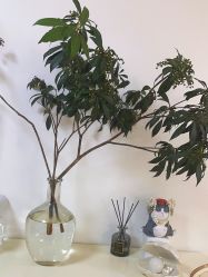 -美肤盾祛痘·问题肌头疗管理中心