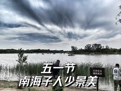 -南海子公园