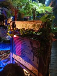 -恐龙探索乐园(磁器口店)