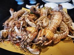 椒盐懒尿虾-高佳庄·海鲜酒楼(东港店)