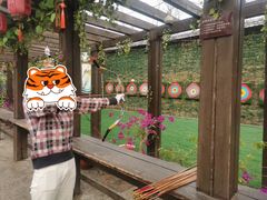 -合肥滨湖国家森林公园