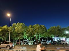 -塔斯汀中国汉堡(浦东绿地东海岸店)