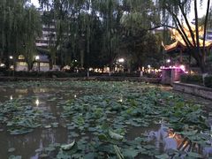 -北湖公园