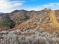 -蟠龙山长城景区
