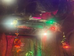 -醉小酒馆·川菜·江湖菜·重庆菜(观音桥旗舰店)