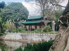 -柳侯公园