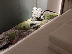 -臻品足道(佛祖岭店)