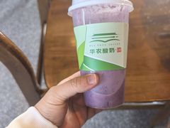 -华农酸奶文化馆
