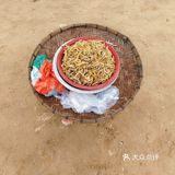 佛山三水区一日游[吐]