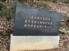 -马王堆汉墓遗址