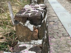 -磐安舞龙峡景区