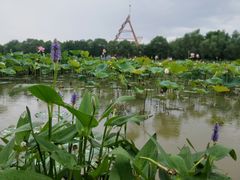 -南昌梵高星空艺术馆