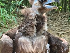-合肥野生动物园