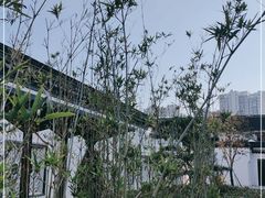 -青果巷历史文化街区