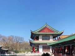 -MAP CHA普洱茶馆(翠湖店)