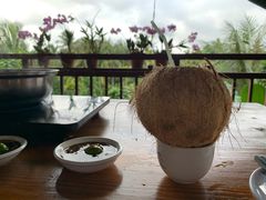 -万兴启丰椰子文化园餐厅