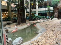 -白虎自助餐厅·真老虎·景观自助餐厅(广州长隆酒店)