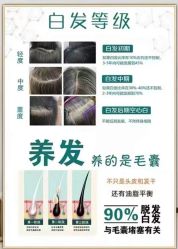-诗碧曼养发
