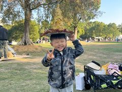 -艾溪湖湿地公园