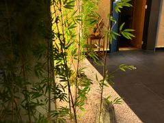 -新紫霞养生·影院足道·SPA(金山区店)
