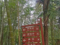 -仙岛湖旅游风景区