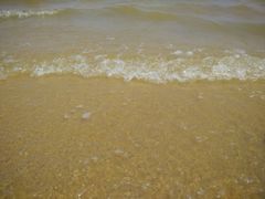 -碧海金沙