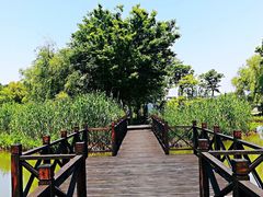 -梁鸿国家湿地公园