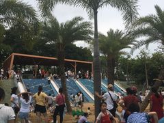 -宝安西湾红树林湿地公园