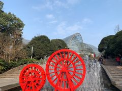 -南山植物园