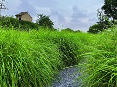 -汉长安城未央宫国家考古遗址公园