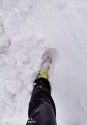 -大秃顶子山