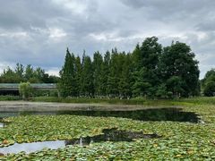 -白鹭湾湿地公园