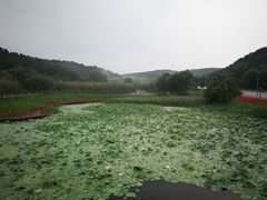 -棋盘山风景区