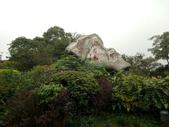 -桃花岛景观公园