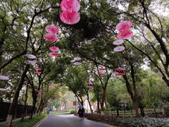 -广州市白云山风景名胜区
