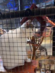 -酷嗒动物文化乐园(cutezoo西溪乐天城店)