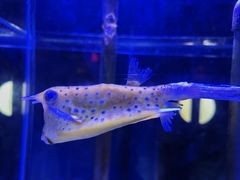 -太平洋海底世界