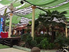 -陶然居·重庆菜(生态园店)