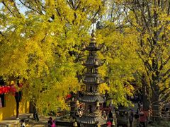 -南山风景名胜区