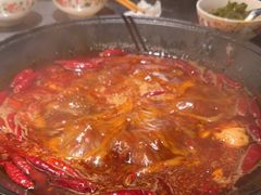 -朱光玉火锅馆(正弘城店)