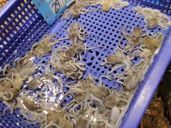 -渔傅·霞浦滩涂海鲜(建平店)