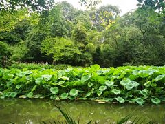 -成都杜甫草堂博物馆